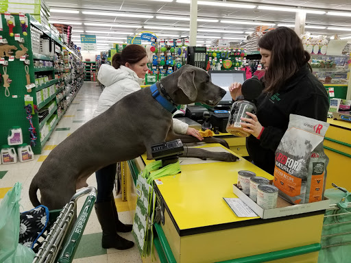 Pet Supply Store «Pet Supplies Plus», reviews and photos, 3100 Manchester Rd, Akron, OH 44319, USA