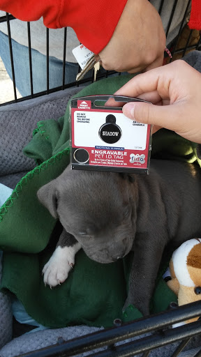 Pet Supply Store «Petco Animal Supplies», reviews and photos, 1 US-46, Totowa, NJ 07512, USA