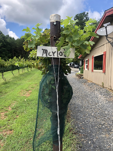 Winery «Sharp Mountain Vineyards», reviews and photos, 110 Rathgeb Trail, Jasper, GA 30143, USA