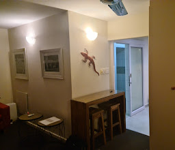 Armadillo Studios Guesthouse photo