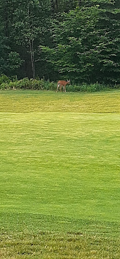Golf Club «Jack Frost National Golf Club», reviews and photos, 1 Clubhouse Dr, Blakeslee, PA 19610, USA