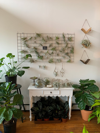 Florist «Fleur de Lis Fresh Flowers», reviews and photos, 516 Selby Ave, St Paul, MN 55102, USA