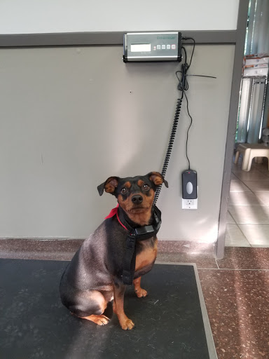 Animal Hospital Of Oak Ridges image