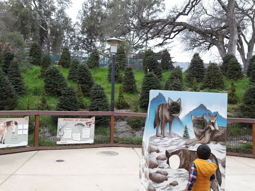 Wildlife Refuge «Folsom City Zoo Sanctuary», reviews and photos, 403 Stafford St, Folsom, CA 95630, USA