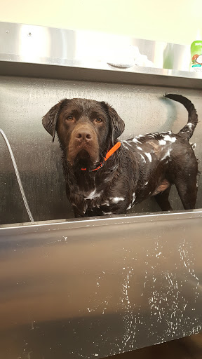 Pet Supply Store «Lemos Feed & Pet Supply», reviews and photos, 1320 Main St, Morro Bay, CA 93442, USA