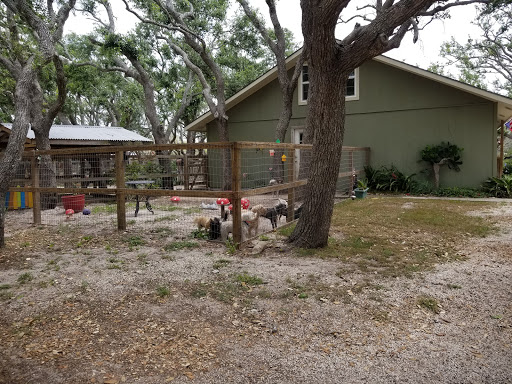 Kennel «Sandy Oaks Kennel, Daycare and Spaw», reviews and photos, 146 Lamar Dr, Rockport, TX 78382, USA