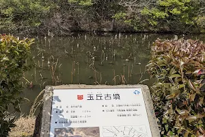 Tamaoka Historical Park image