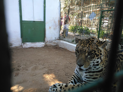 Mini Zoo del Juan XXIII