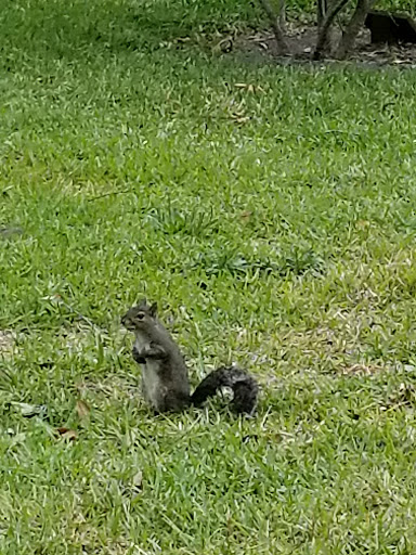 Place of Worship «Mission of Nombre De Dios», reviews and photos, 27 Ocean Ave, St Augustine, FL 32084, USA