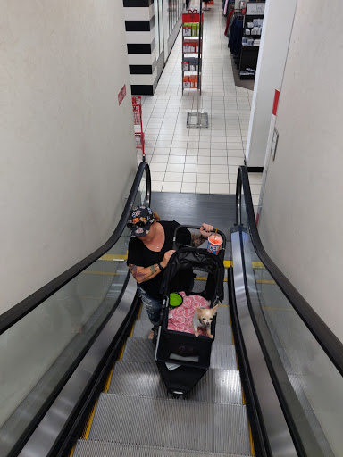 Department Store «JCPenney», reviews and photos, 4125 S Cleveland Ave #903, Fort Myers, FL 33901, USA