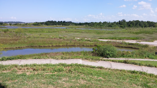 Nature Preserve «Baytown Nature Center», reviews and photos, 6213 Bayway Dr, Baytown, TX 77520, USA