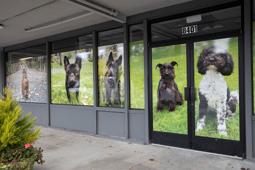 Print Shop «SpeedPro Imaging», reviews and photos, 11630 Slater Ave NE #5, Kirkland, WA 98034, USA