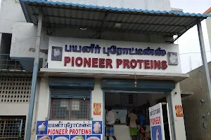Pioneer Proteins image