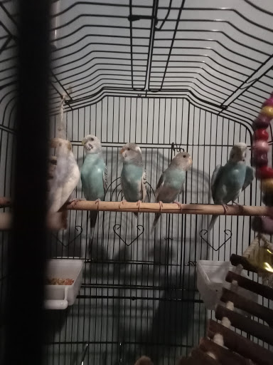 Pet Supply Store «PetSmart», reviews and photos, 830 Pelham Pkwy, Pelham, NY 10803, USA