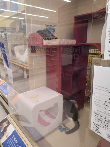 Pet Supply Store «PetSmart», reviews and photos, 3630 Peachtree Pkwy, Suwanee, GA 30024, USA