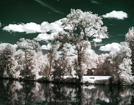 Photo 3 - Menut Recyclage Vendôme (Achat métaux, démolition VHU, enlèvement ferraille)