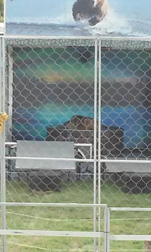 Fairground «Bangor State Fair», reviews and photos, 515 Main St, Bangor, ME 04401, USA