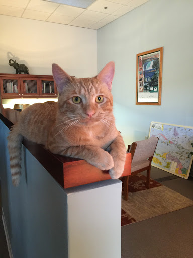 Travel Agency «Alpha World Travel Honeymoons and Destination Weddings», reviews and photos, 107 Edinburgh S Dr #114, Cary, NC 27511, USA