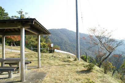 桜公園