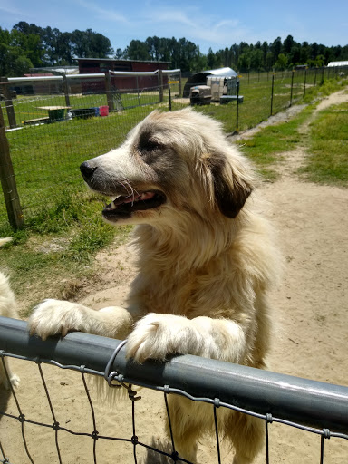 Twin Oaks Farm All Natural