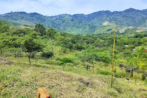 Parque De Los Perros image