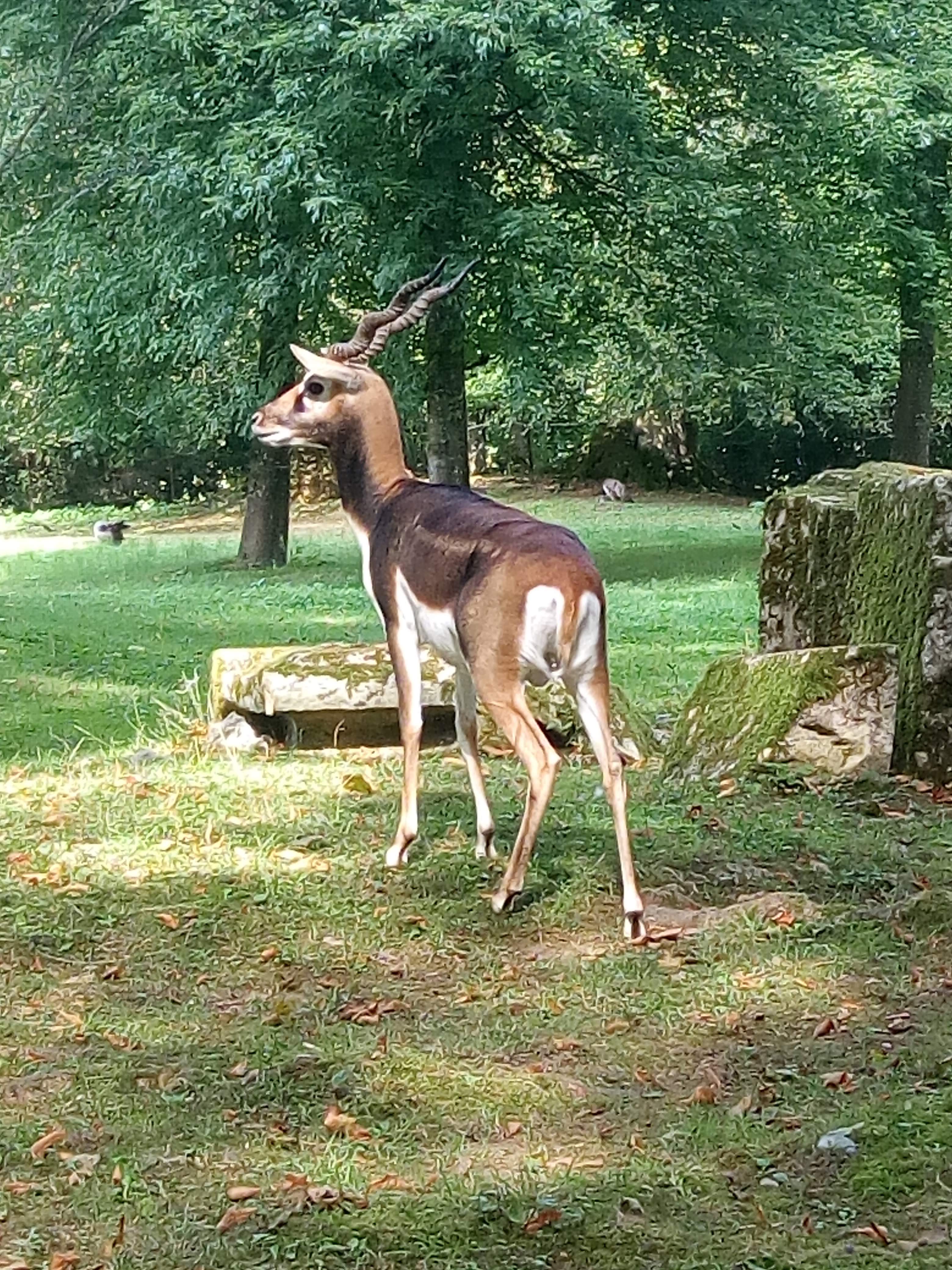 Photo n° 13 de l'avis de France.u fait le 11/10/2018 à 15:31