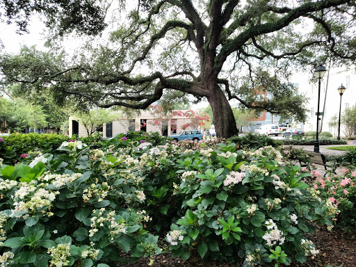 Museum «Davenport House Museum», reviews and photos, 324 E State St, Savannah, GA 31401, USA