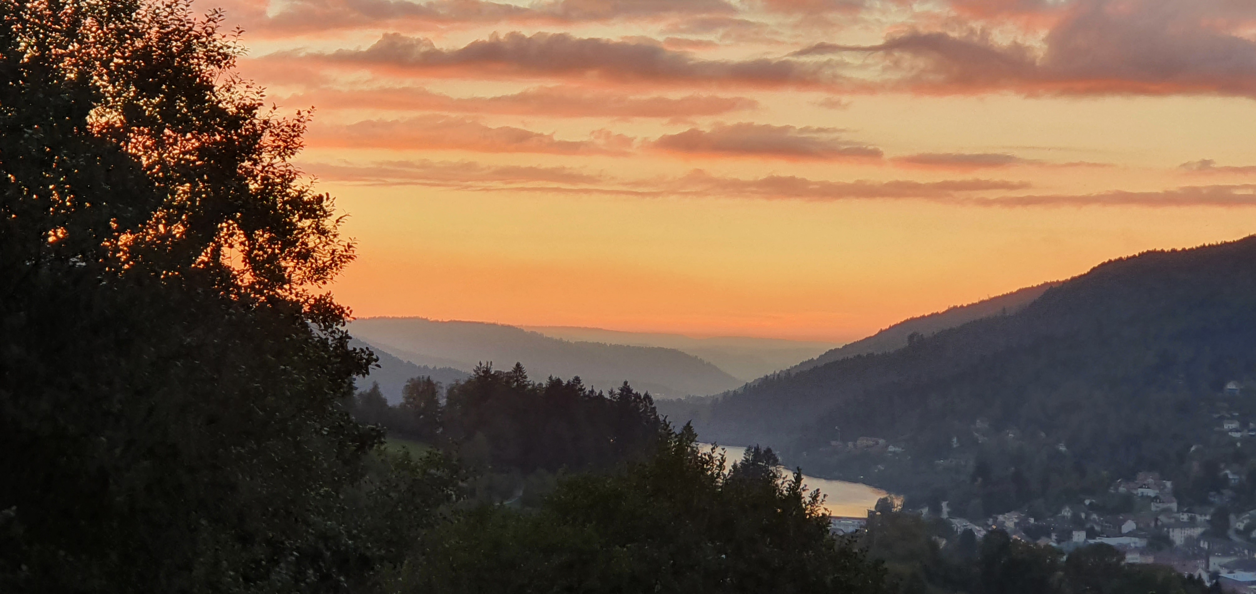 Photo n° 1 de l'avis de Rainer.� fait le 18/10/2021 à 17:39