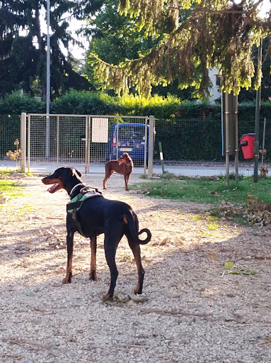 Parco Per Cani