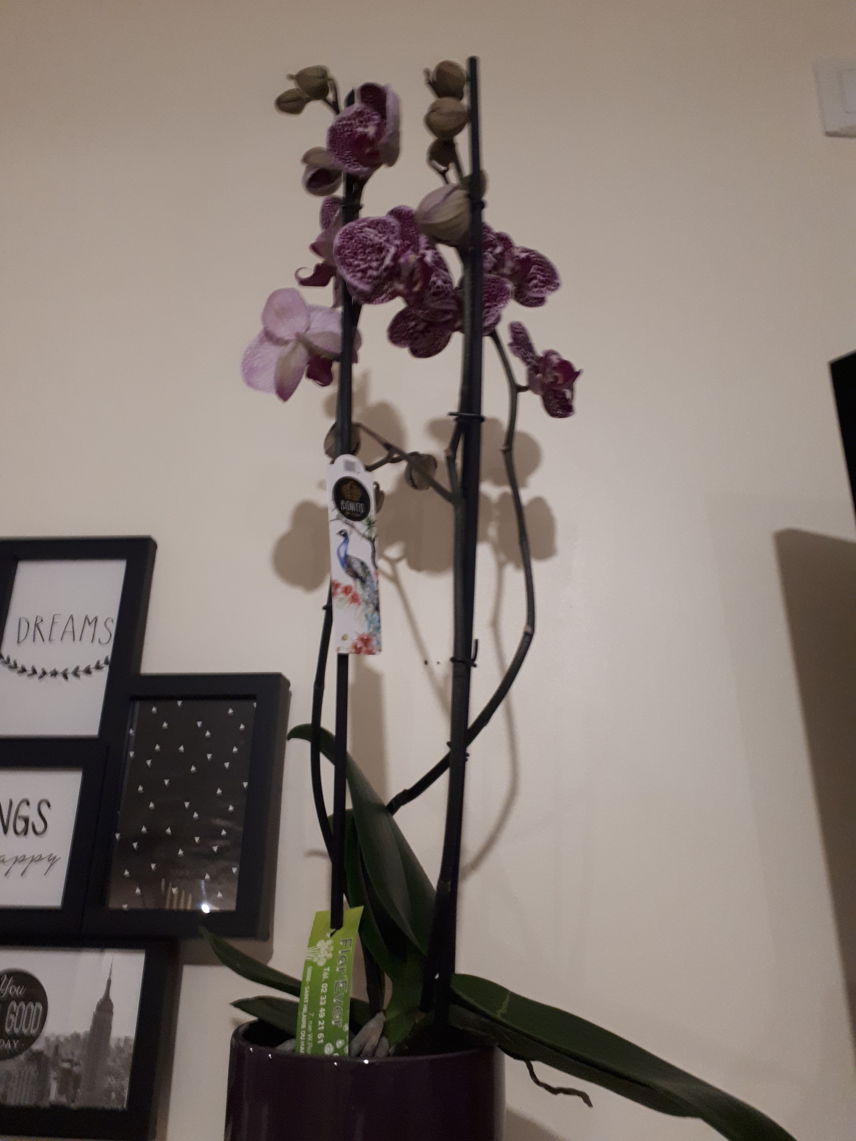 Photo n° 4 de l'avis de Mathieu. fait le 14/02/2019 à 20:21