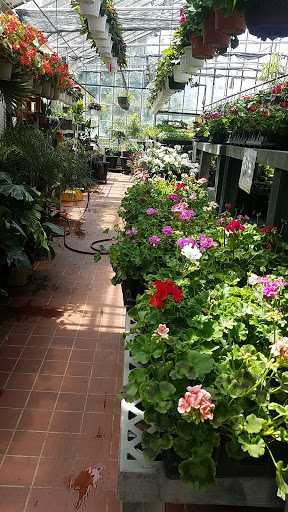 Garden Center «Westminster Nursery & Florist», reviews and photos, 30 Westminster Rd, West Hempstead, NY 11552, USA