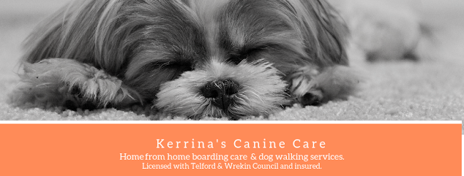 Kerrina's Canine Care