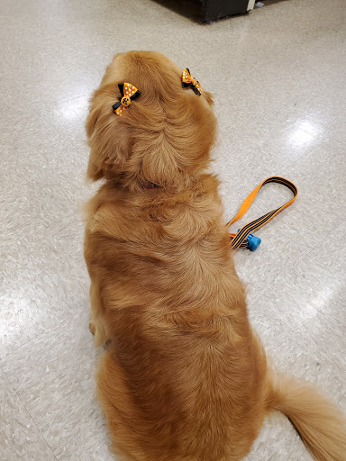 Pet Supply Store «PetSmart», reviews and photos, 9921 Pulaski Hwy, Baltimore, MD 21220, USA