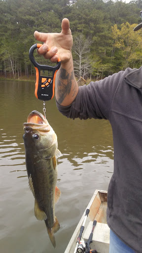 Tourist Attraction «South Shore Park», reviews and photos, 4555 Ragsdale Rd, Acworth, GA 30101, USA