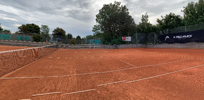 Rezensionen über Tennisanlage Fluntern (ASVZ) in Zürich - Sportstätte