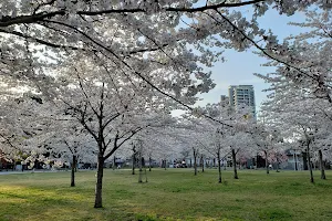 Sendai West Park image