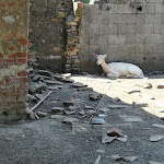 Photo n°4 de l'avis de Maurizio.l fait le 01/07/2018 à 20:38 sur le  Agriturismo Cascina Venesia à Mezzanino