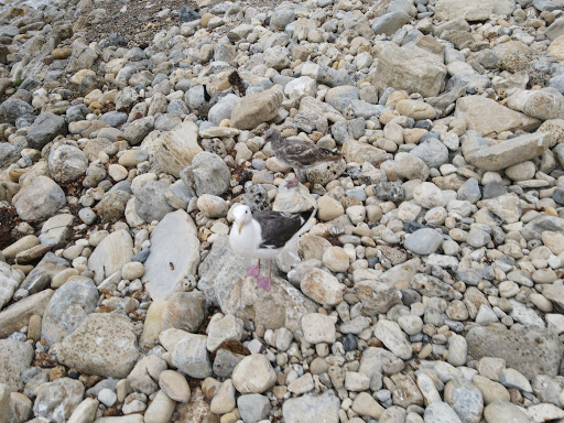 Club «Palos Verdes Beach & Athletic Club», reviews and photos, 389 Paseo Del Mar, Palos Verdes Peninsula, CA 90274, USA