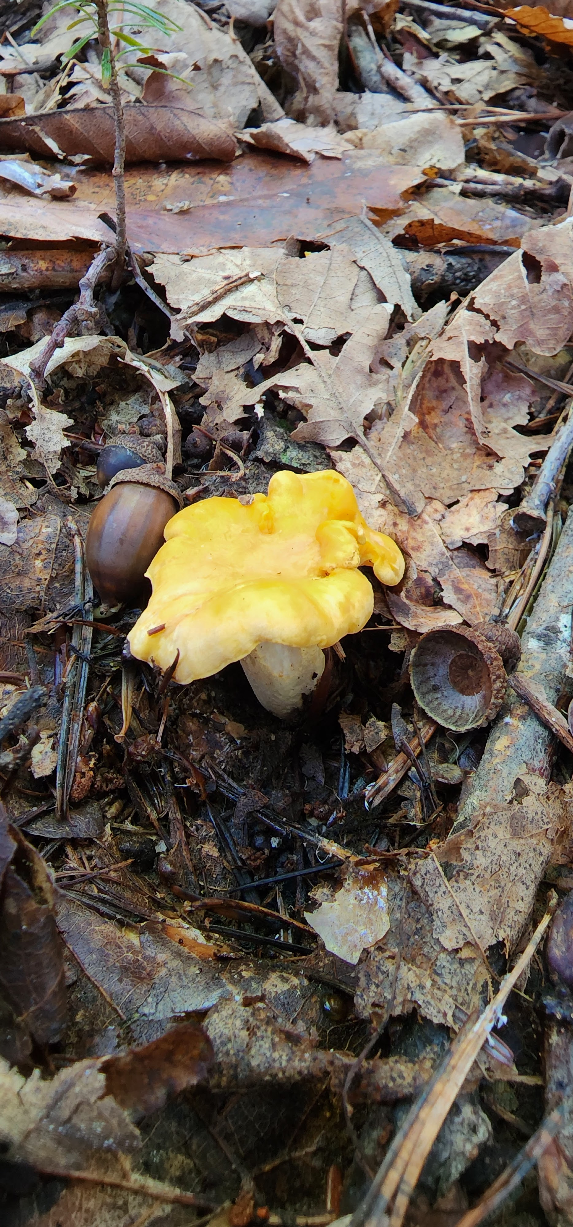 Photo n° 6 de l'avis de Angie. fait le 04/11/2022 à 06:49