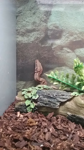 Pet Store «All Pets Club», reviews and photos, 1167 N Colony Rd, Wallingford, CT 06492, USA