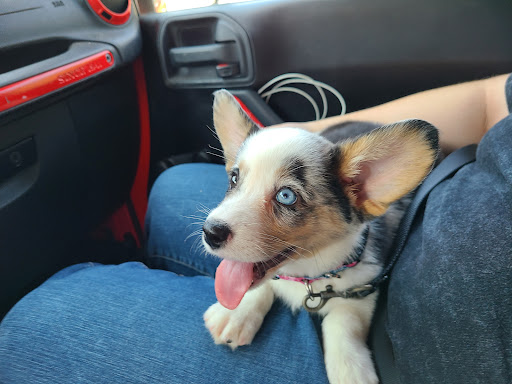 Donut Shop «Country Style Donuts», reviews and photos, 4300 Williamsburg Rd, Richmond, VA 23231, USA