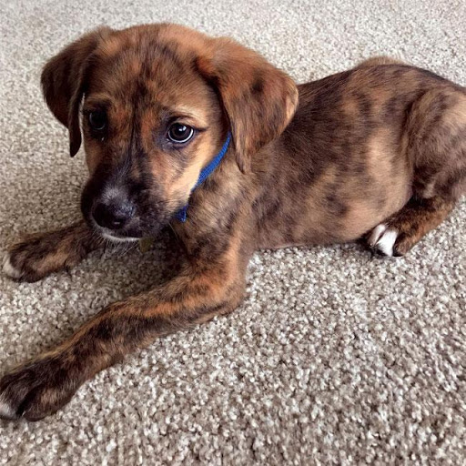 Insurance Agency «Integrity First Insurance», reviews and photos