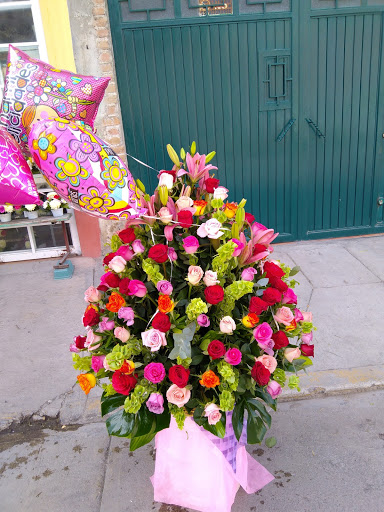 Floreria Ave Del Paraiso Vargas – Comonfort