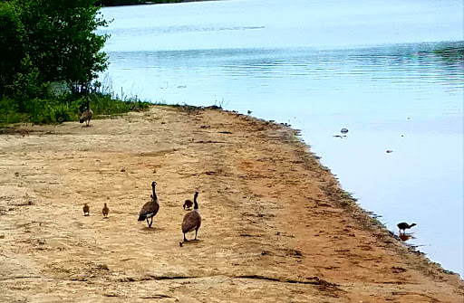 Park «Stoddard Park», reviews and photos, Norfolk St, Holliston, MA 01746, USA