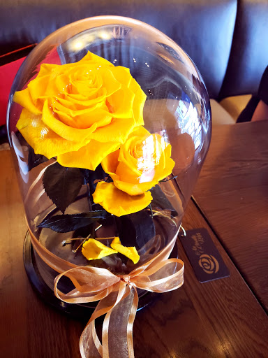 Coffee Shop «Starbucks», reviews and photos, 1508 N Westshore Blvd, Tampa, FL 33607, USA