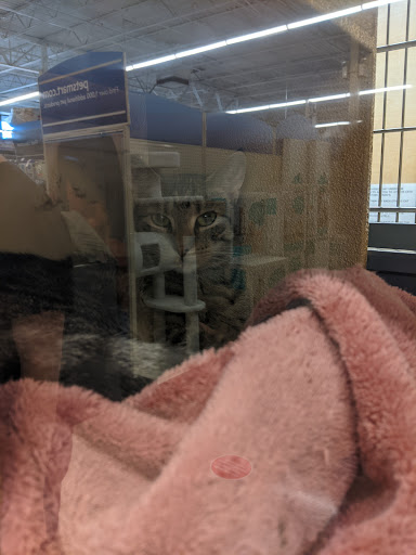 Pet Supply Store «PetSmart», reviews and photos, 50 International Dr S, Flanders, NJ 07836, USA