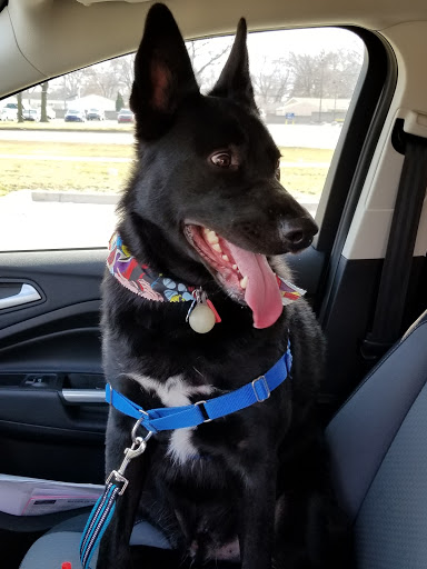 Pet Supply Store «Pet Supplies Plus», reviews and photos, 22124 Ecorse Rd, Taylor, MI 48180, USA