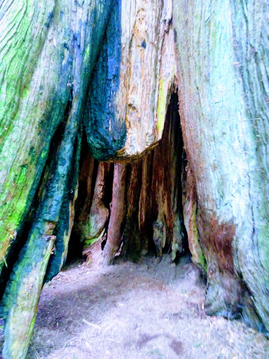 Park «Powell Butte Nature Park», reviews and photos, 16160 SE Powell Blvd, Portland, OR 97236, USA