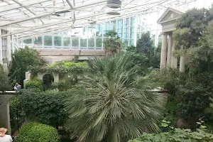 Temperate House image