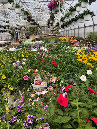 Produce Market «Sunscape Farms», reviews and photos, 1420 Creek St, Rochester, NY 14625, USA